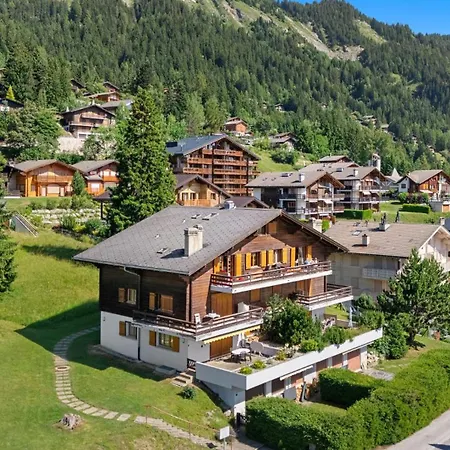 Rocheneige 19 Au Calme A Avec Vue Sur Les Alpes アンゼール