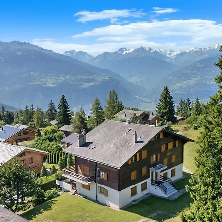 Rocheneige 19 Au Calme A Avec Vue Sur Les Alpes *